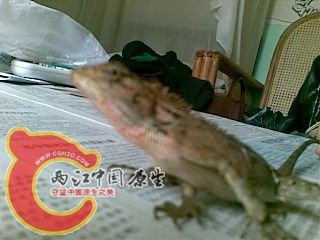 20100930(002).jpg