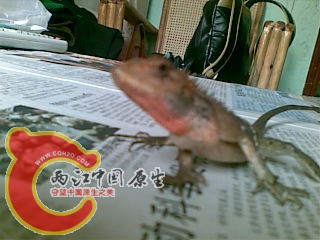 20100930(007).jpg