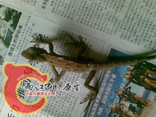 20100930(003).jpg