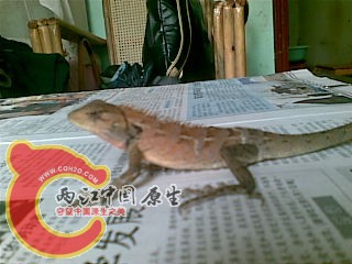 20100930(005).jpg