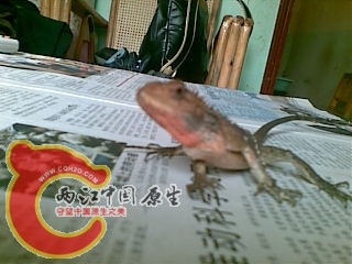 20100930(008).jpg