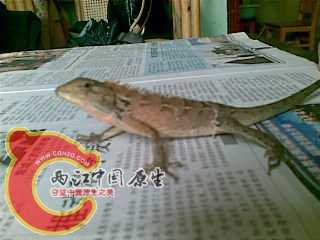 20100930(004).jpg