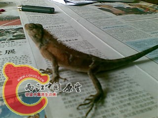 20100930.jpg