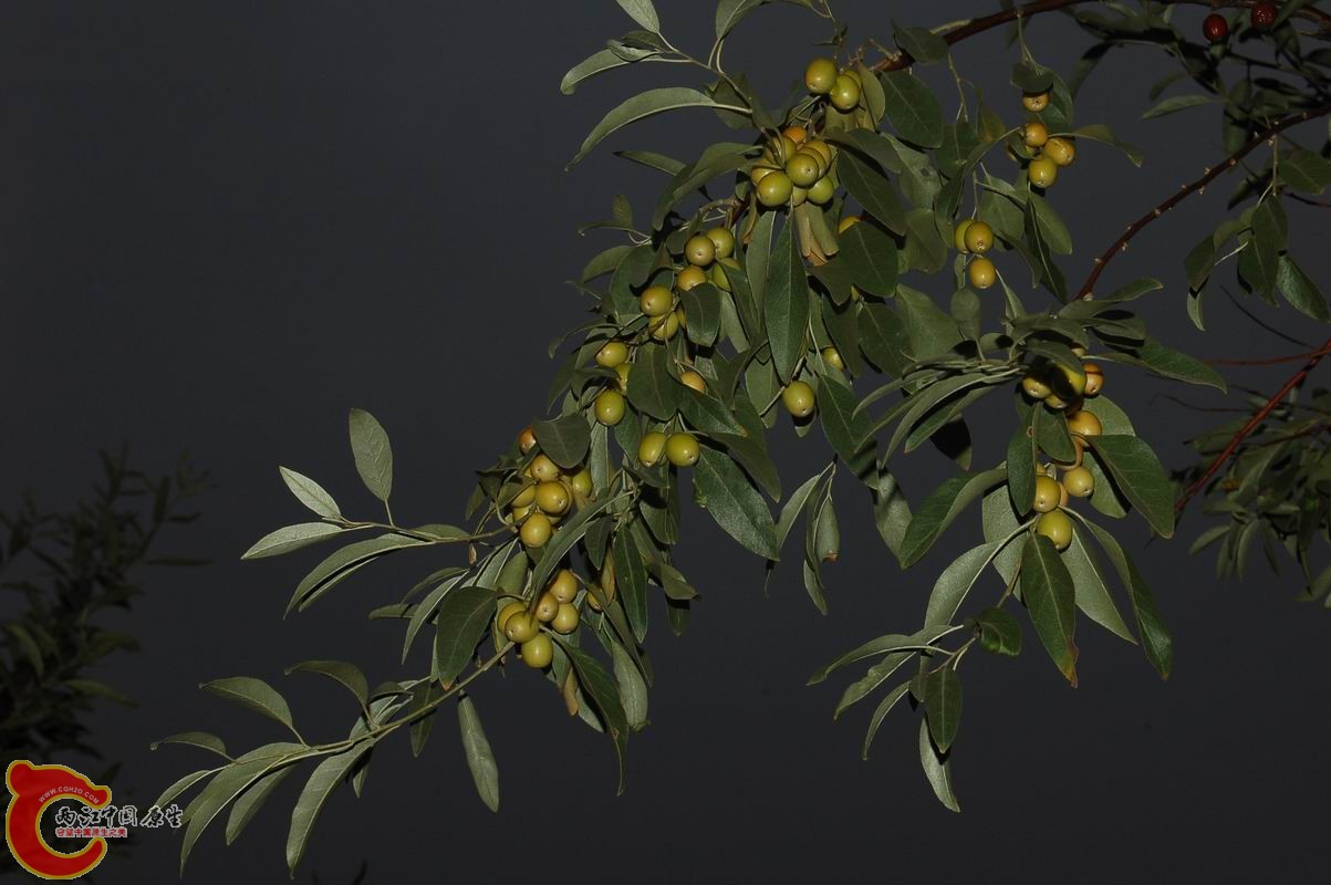 调整大小 DSC_7671.JPG