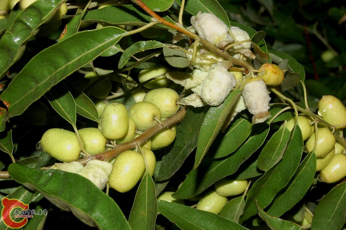 调整大小 DSC_7679.JPG