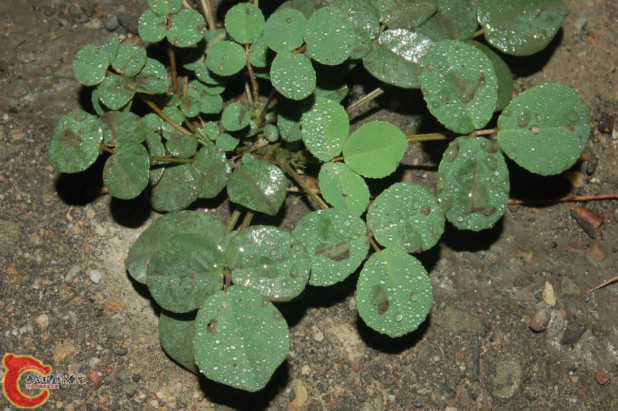 调整大小 DSC_7696.JPG