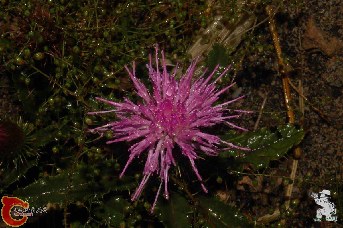 调整大小 DSC_7734.JPG