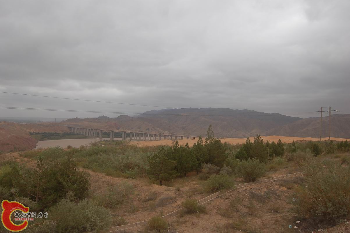 调整大小 DSC_7783.JPG