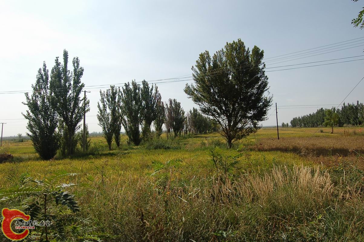 调整大小 DSC_7936.JPG