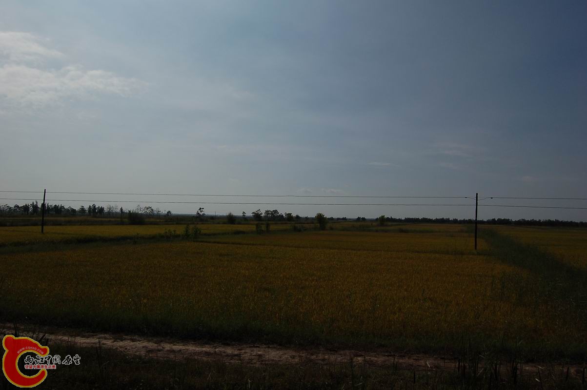 调整大小 DSC_7934.JPG