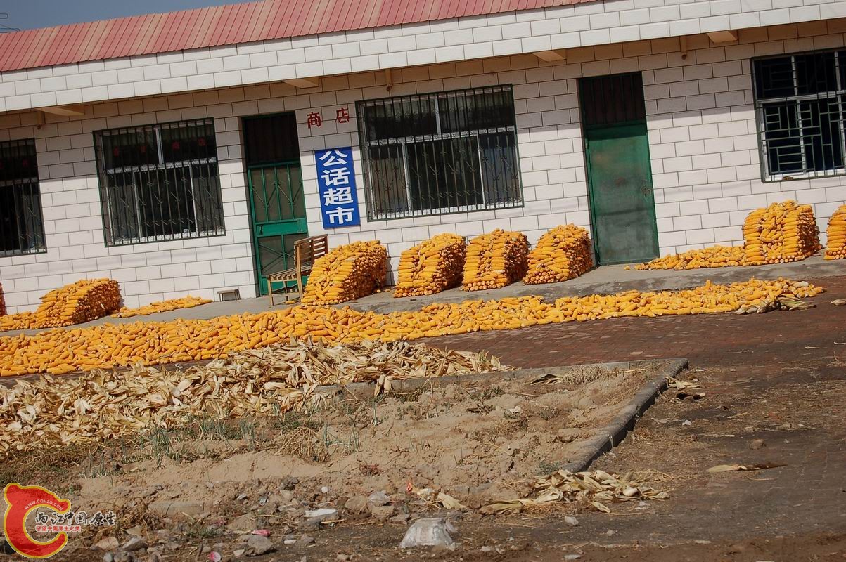 调整大小 DSC_7947.JPG