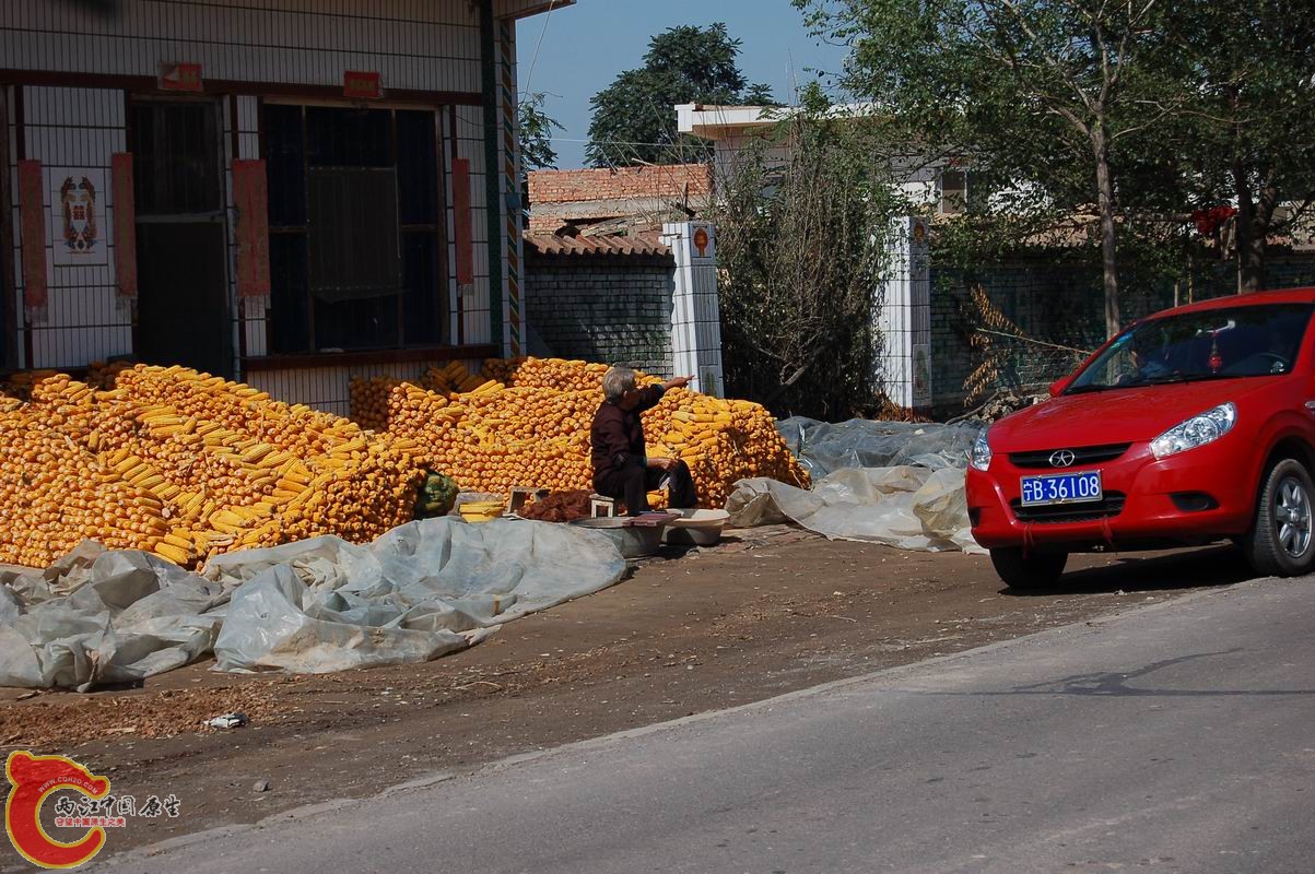 调整大小 DSC_7958.JPG