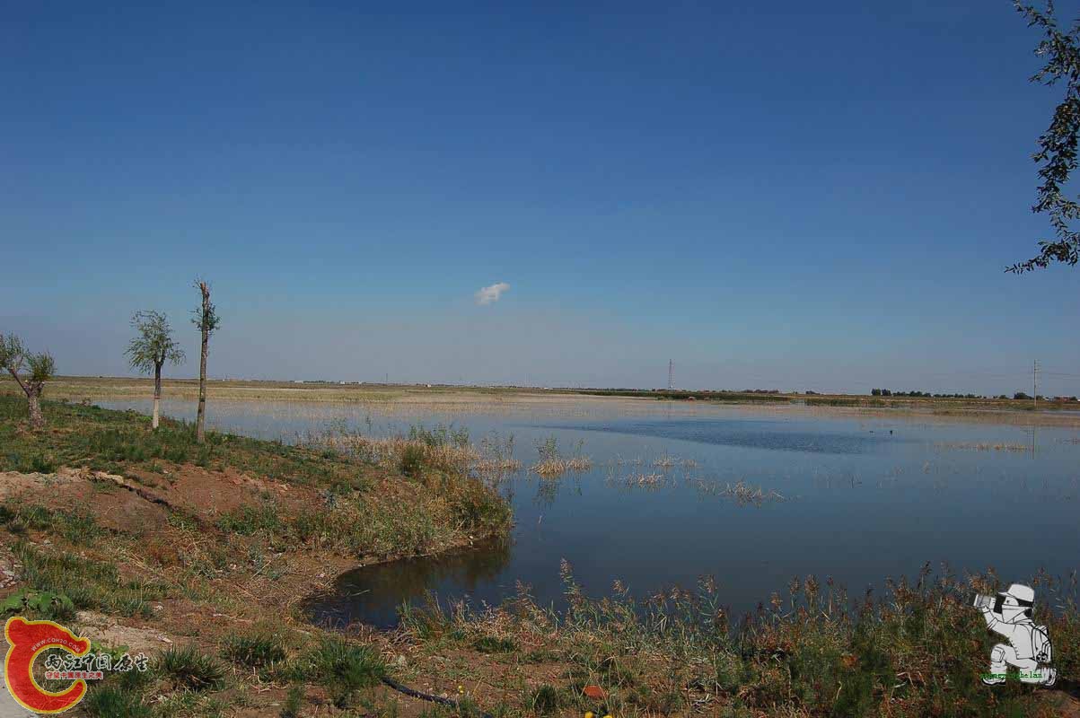 调整大小 DSC_7970.JPG