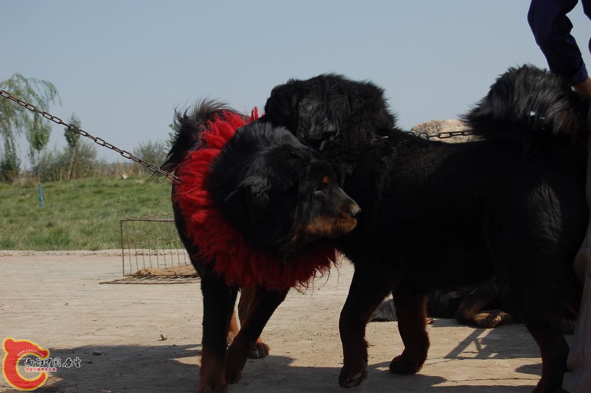 调整大小 DSC_8034.JPG