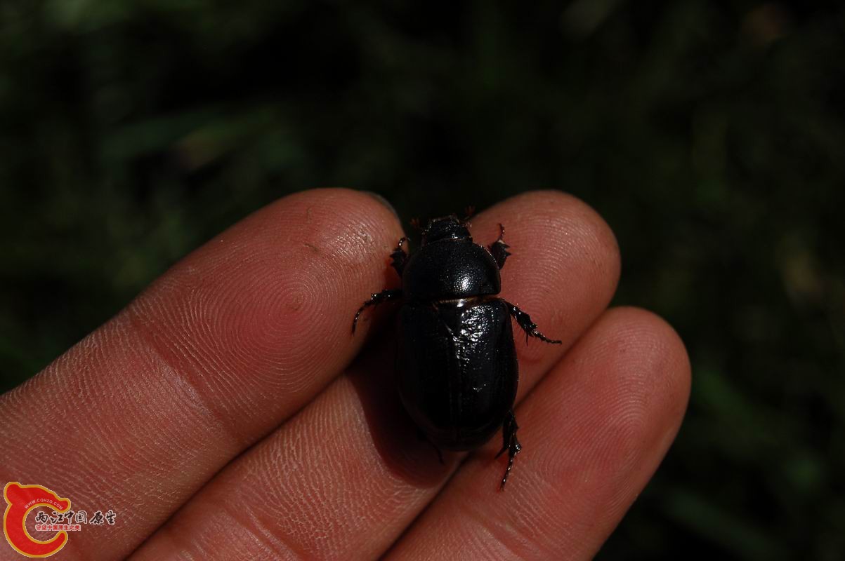 调整大小 DSC_8001.JPG