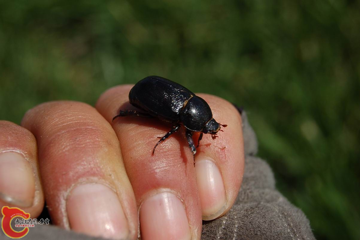 调整大小 DSC_8010.JPG