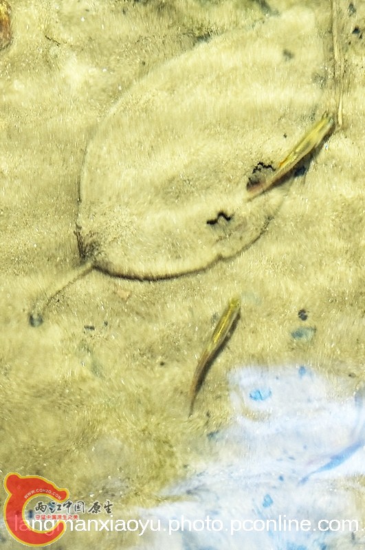 DSC_4960.jpg