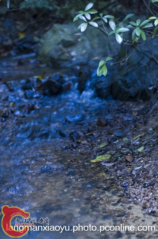 DSC_5070.jpg