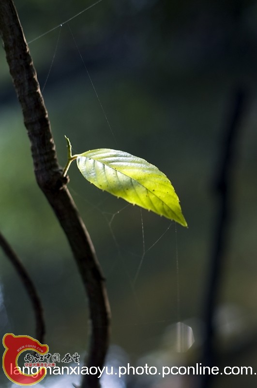 DSC_5062.jpg