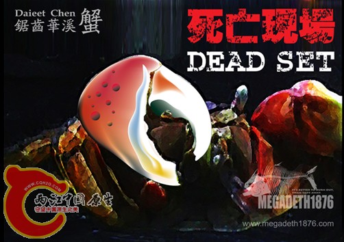 锯齿华溪海报.jpg