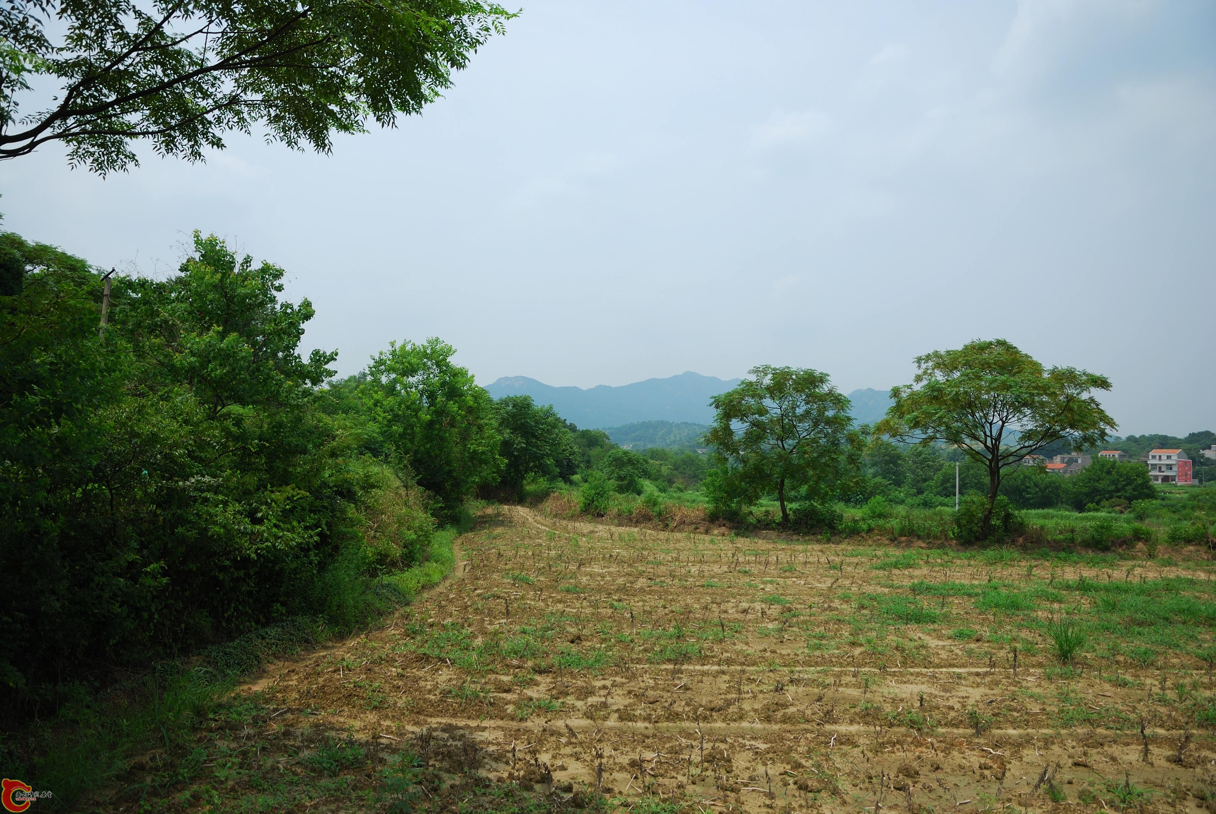DSC_0118.jpg