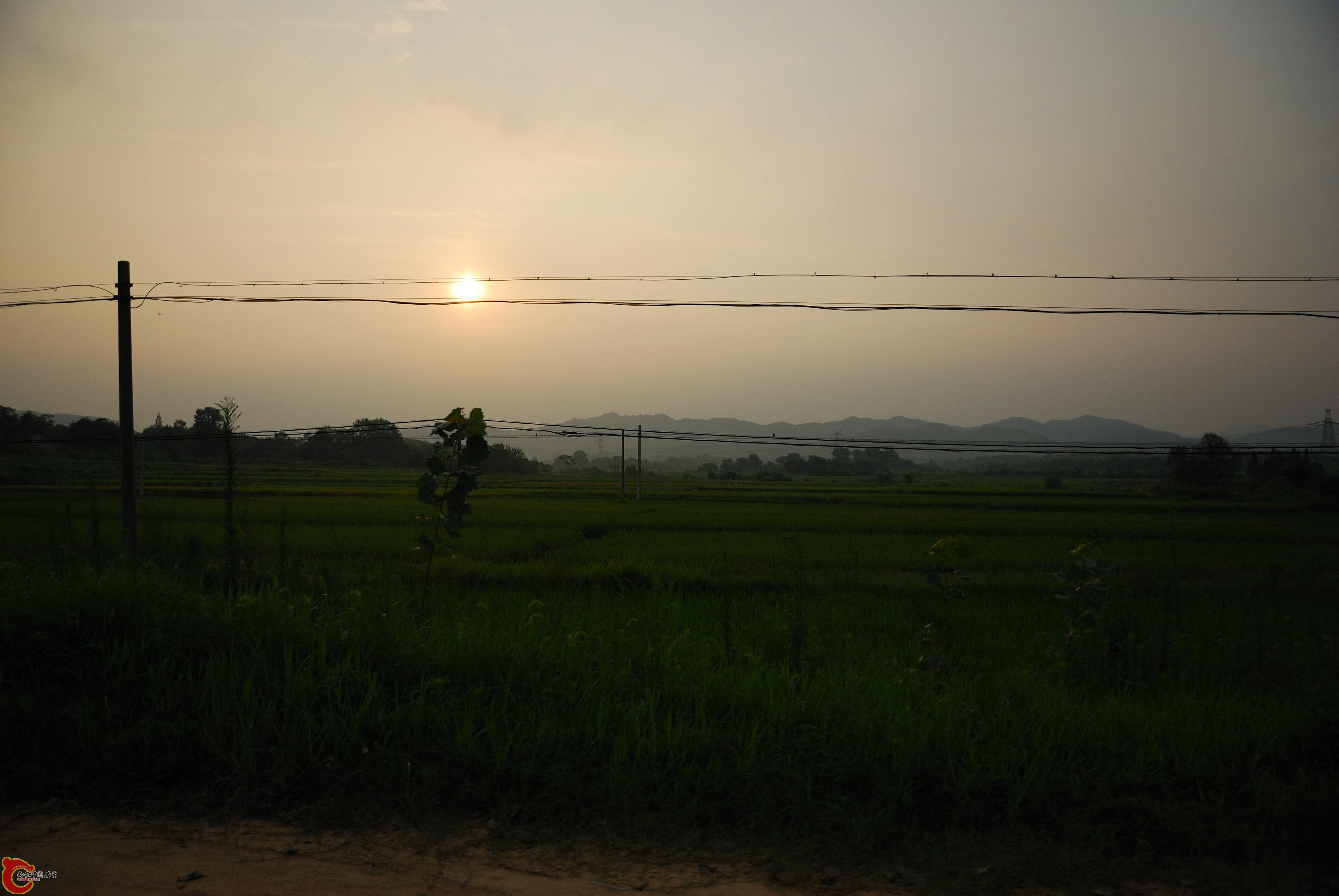 DSC_0139 (2).jpg