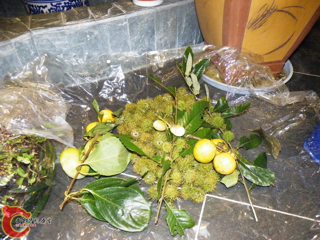 DSCF4679_调整大小.JPG