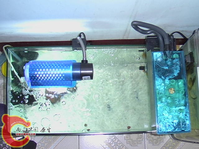 IMGA0537.JPG