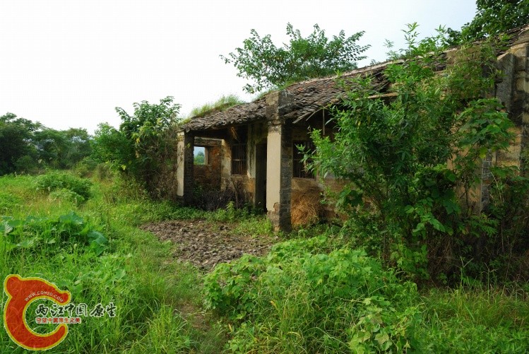 916201049193683845.jpg