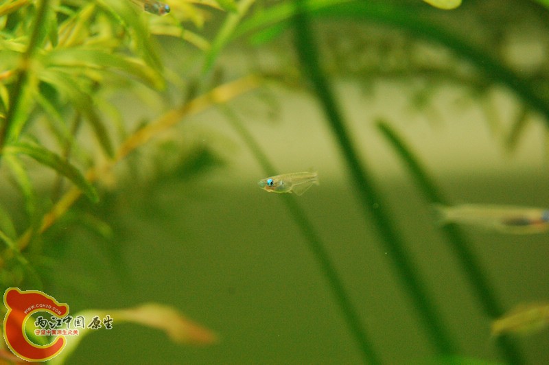 DSC_9777.JPG