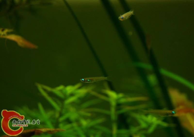 DSC_9780.JPG