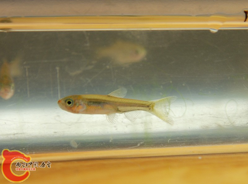 DSC_0172.JPG