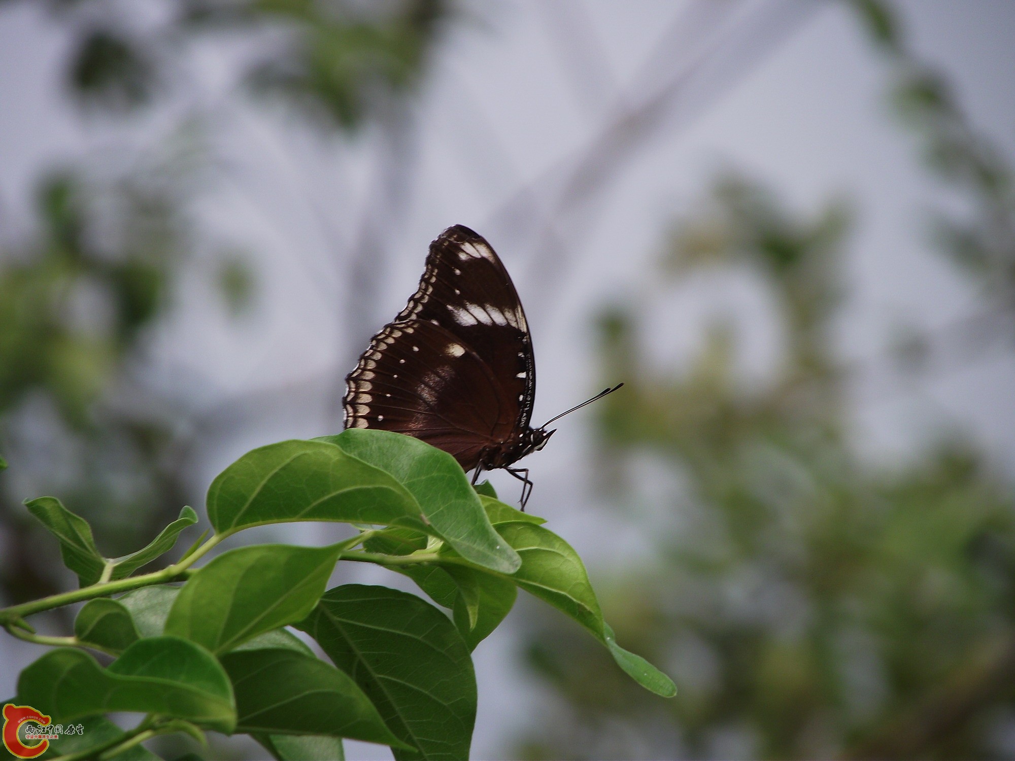 DSCF0047_缩小大小.JPG
