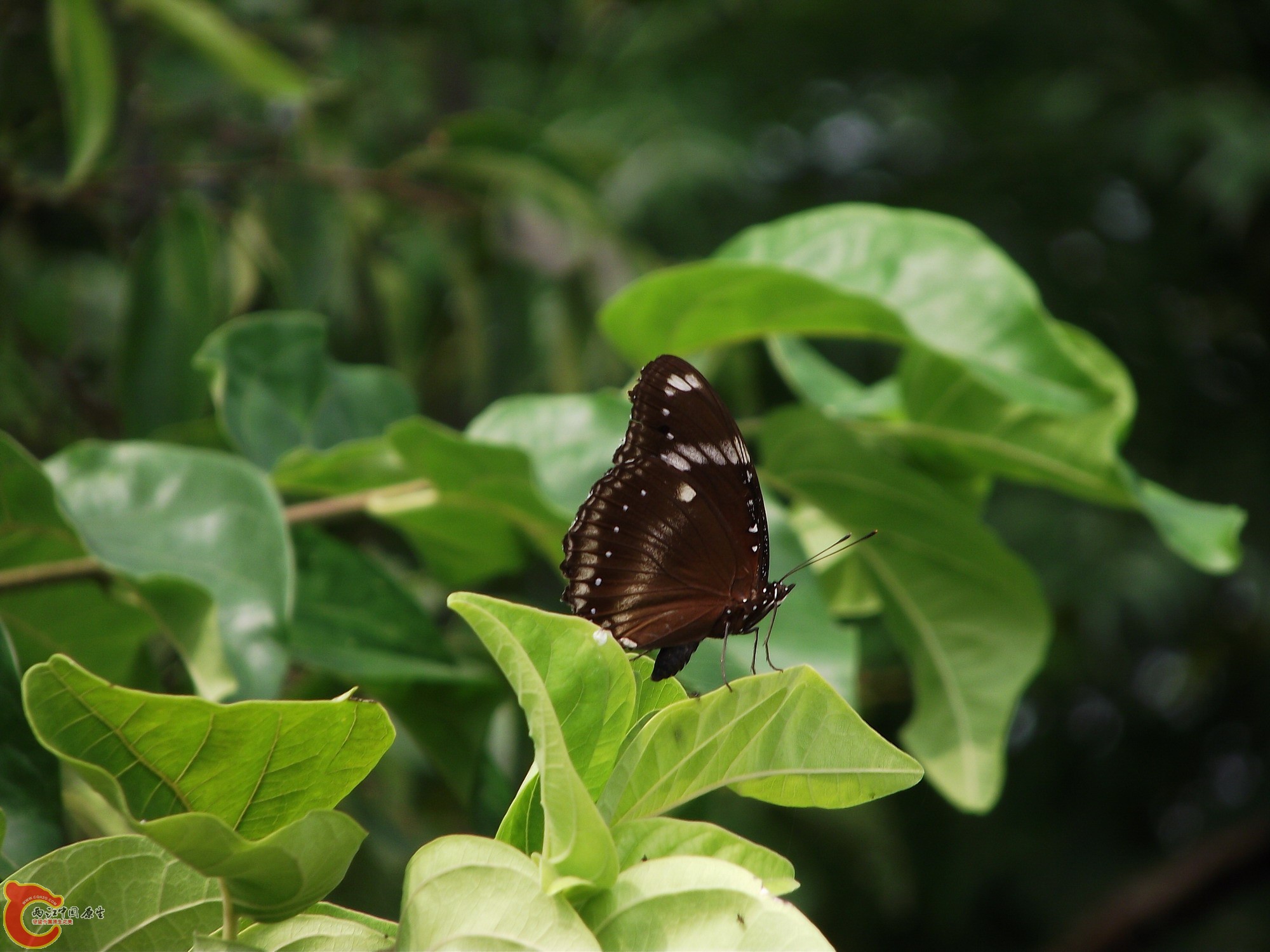 DSCF0049_缩小大小.JPG
