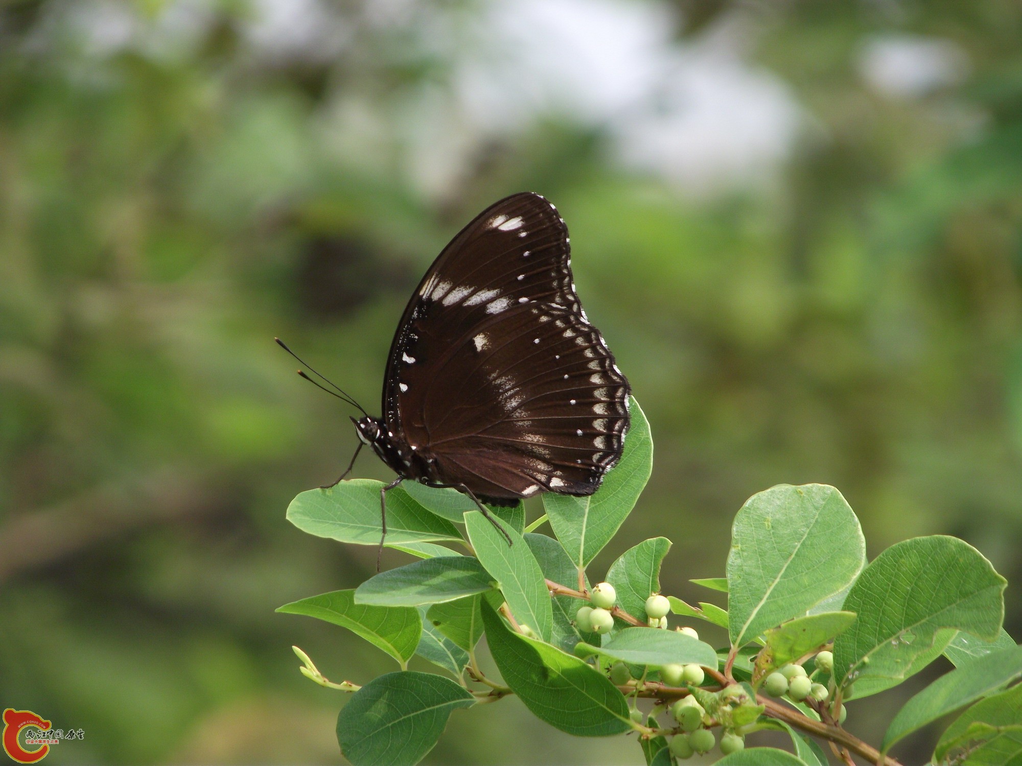DSCF0239_缩小大小.JPG
