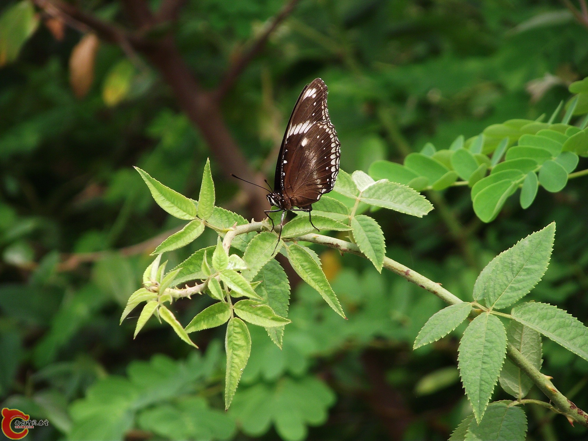 DSCF0044_缩小大小.JPG
