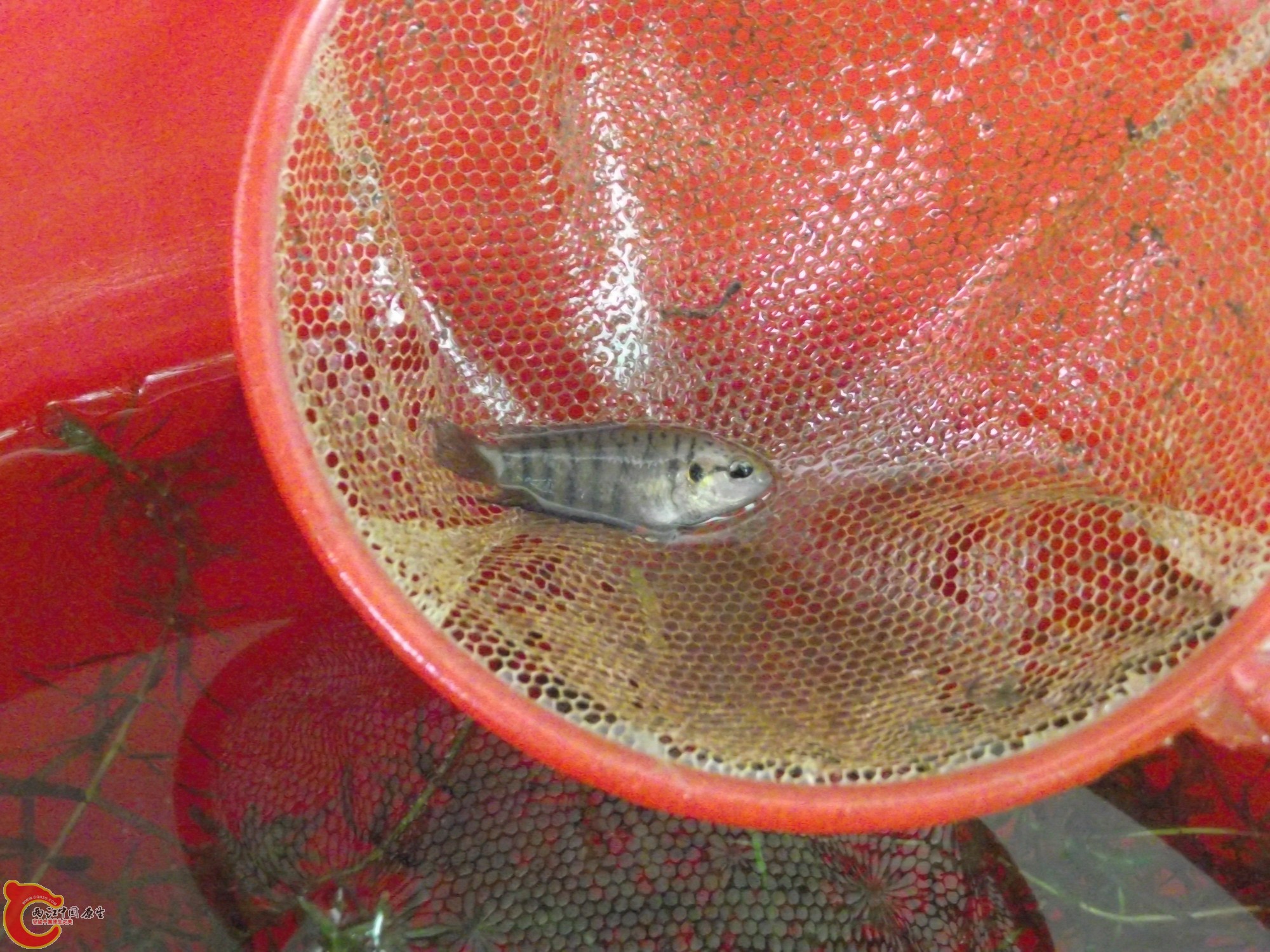 DSCF0331_缩小大小.JPG