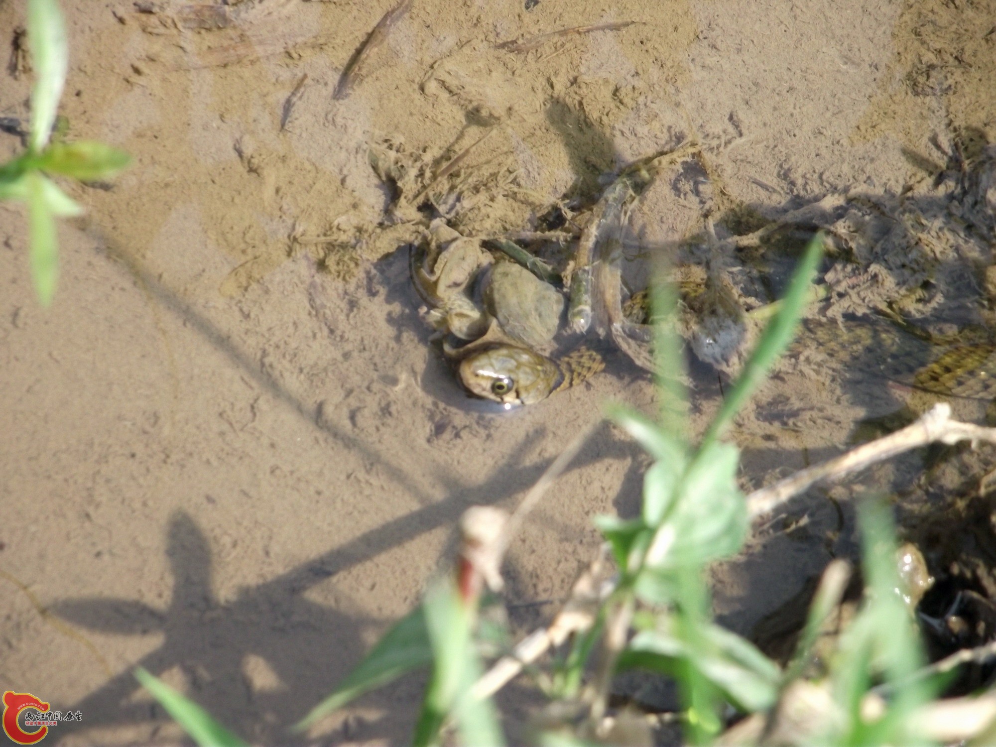 DSCF0362_缩小大小.JPG