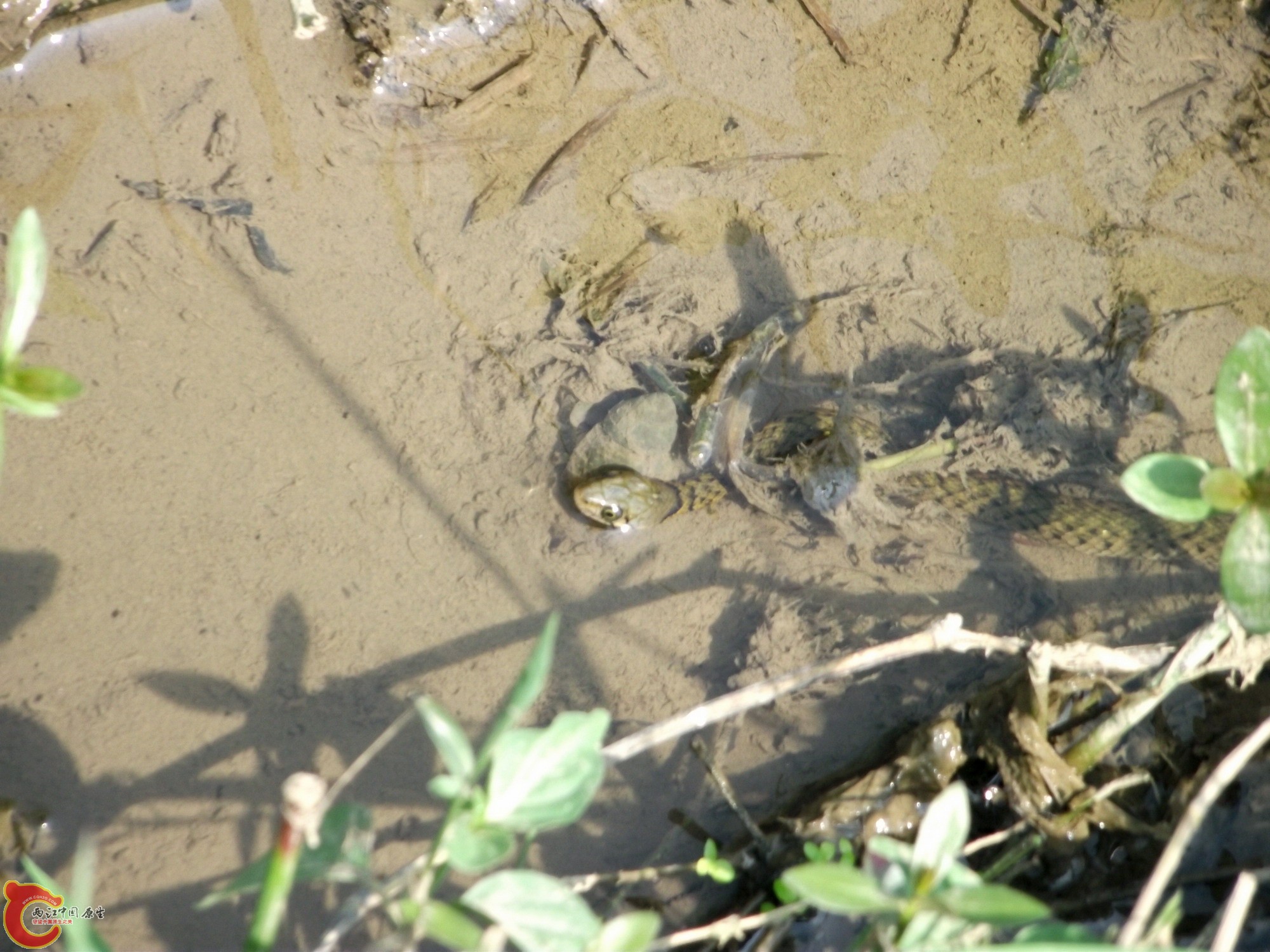 DSCF0363_缩小大小.JPG