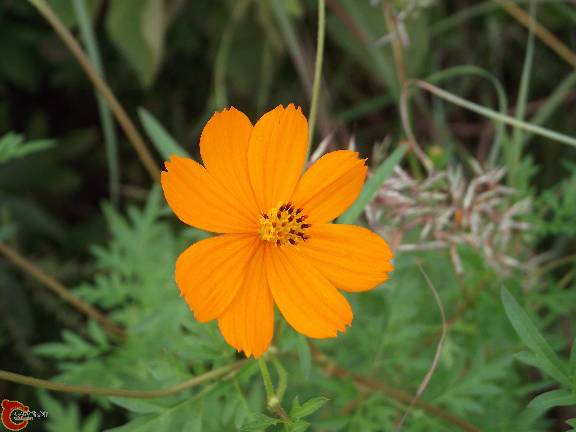 DSCF0366_缩小大小.JPG