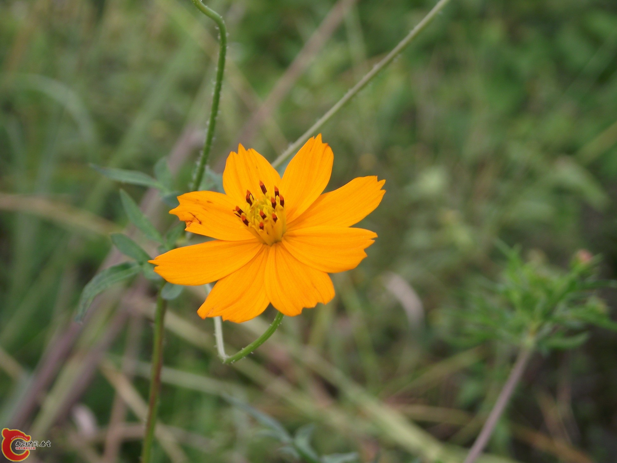 DSCF0369_缩小大小.JPG