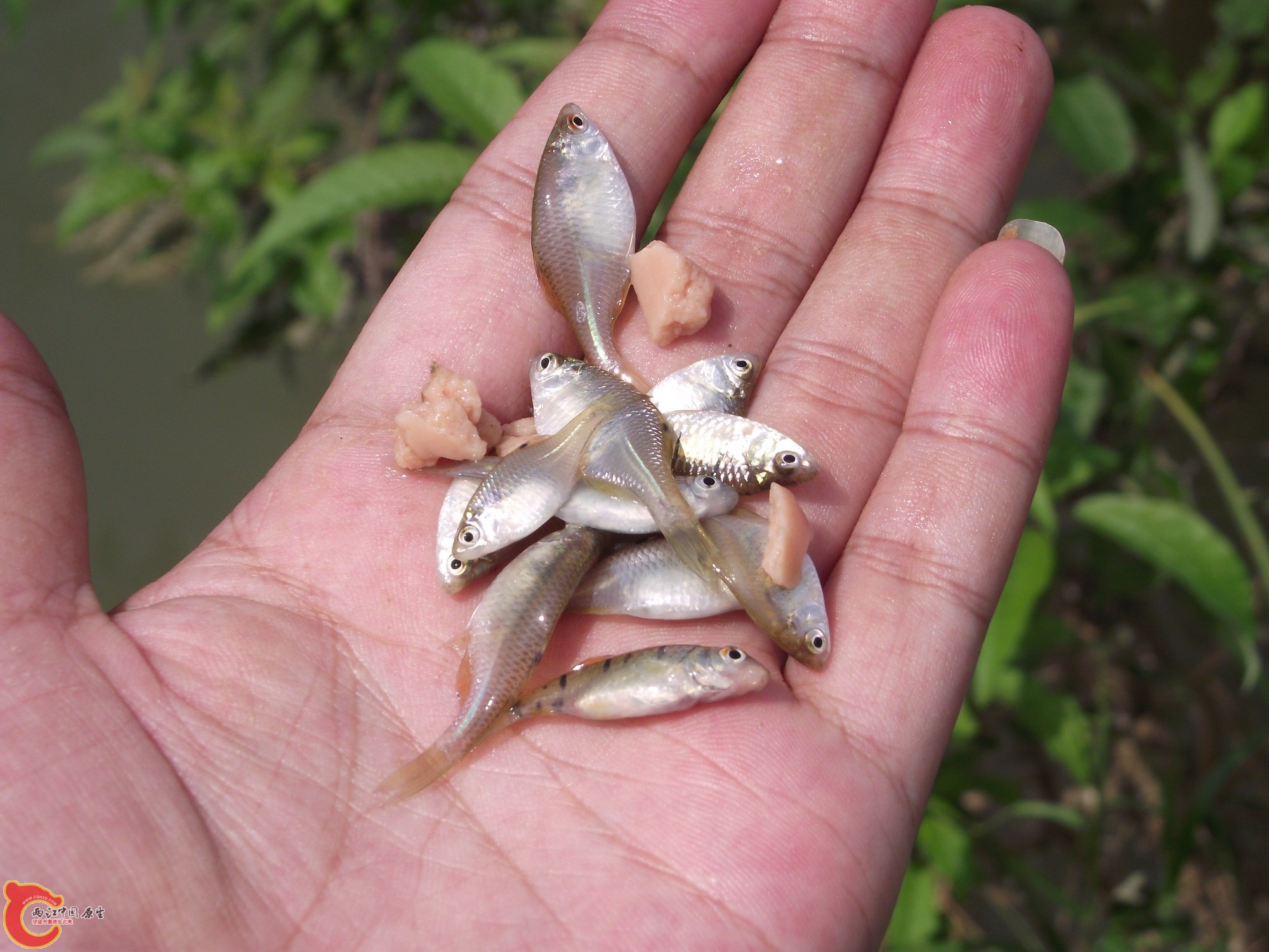 DSCF0392_缩小大小.JPG