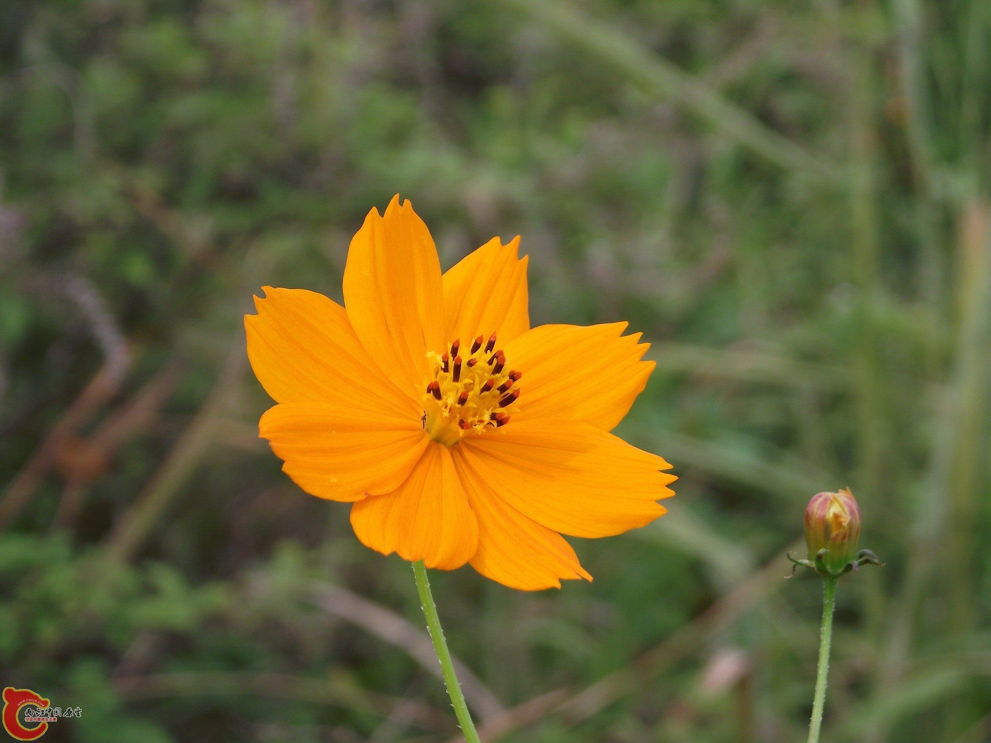 DSCF0370_缩小大小.JPG