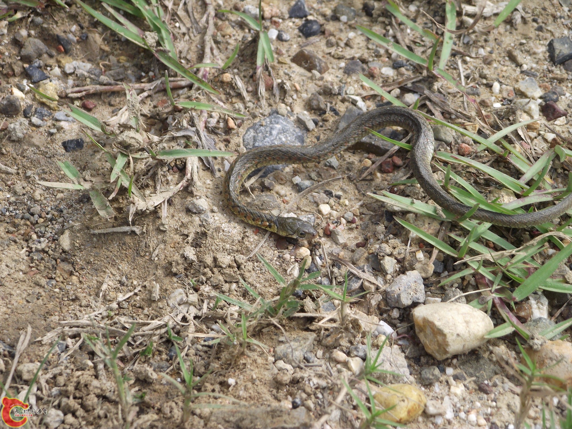 DSCF0395_缩小大小.JPG