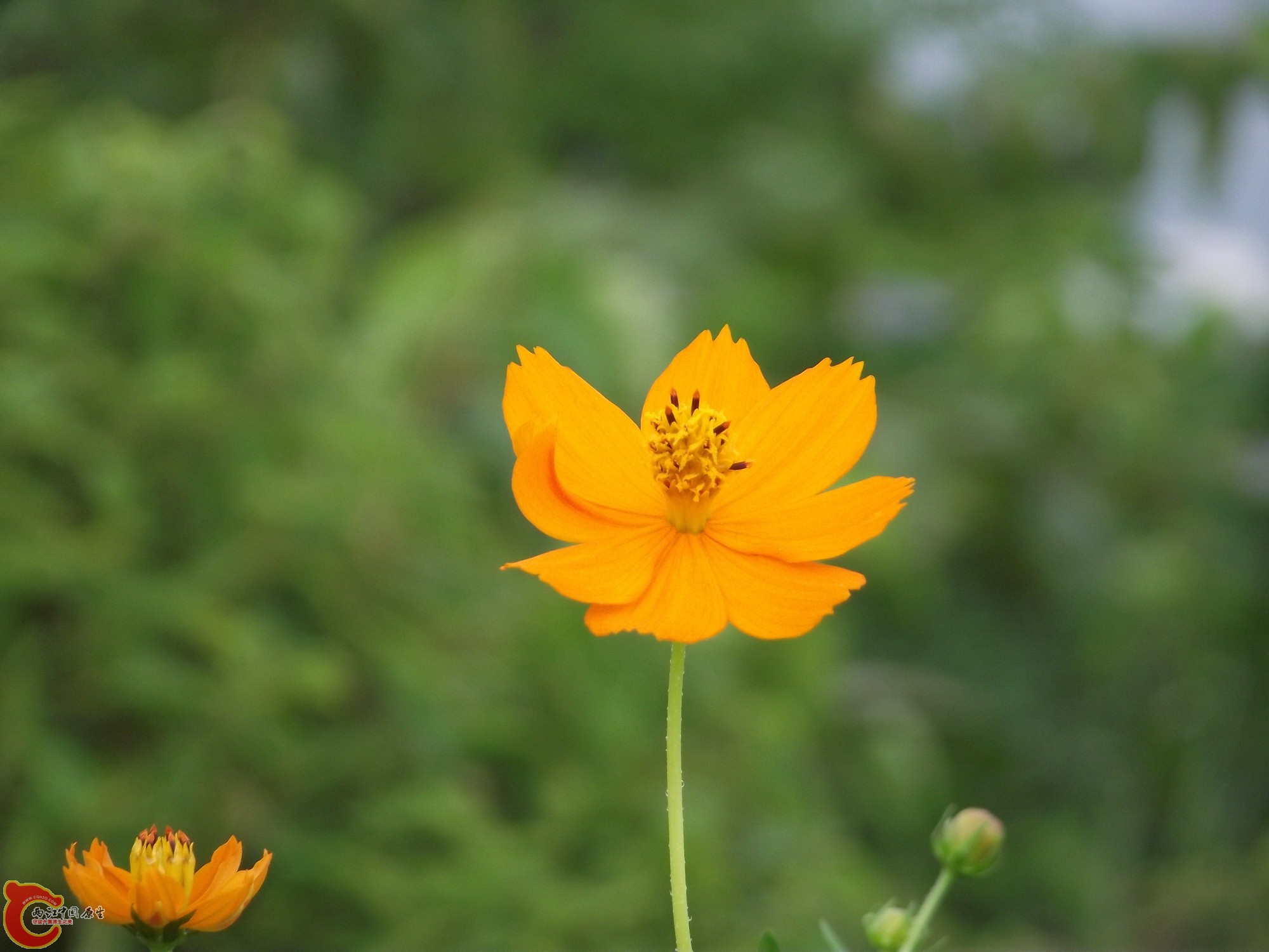 DSCF0373_缩小大小.JPG