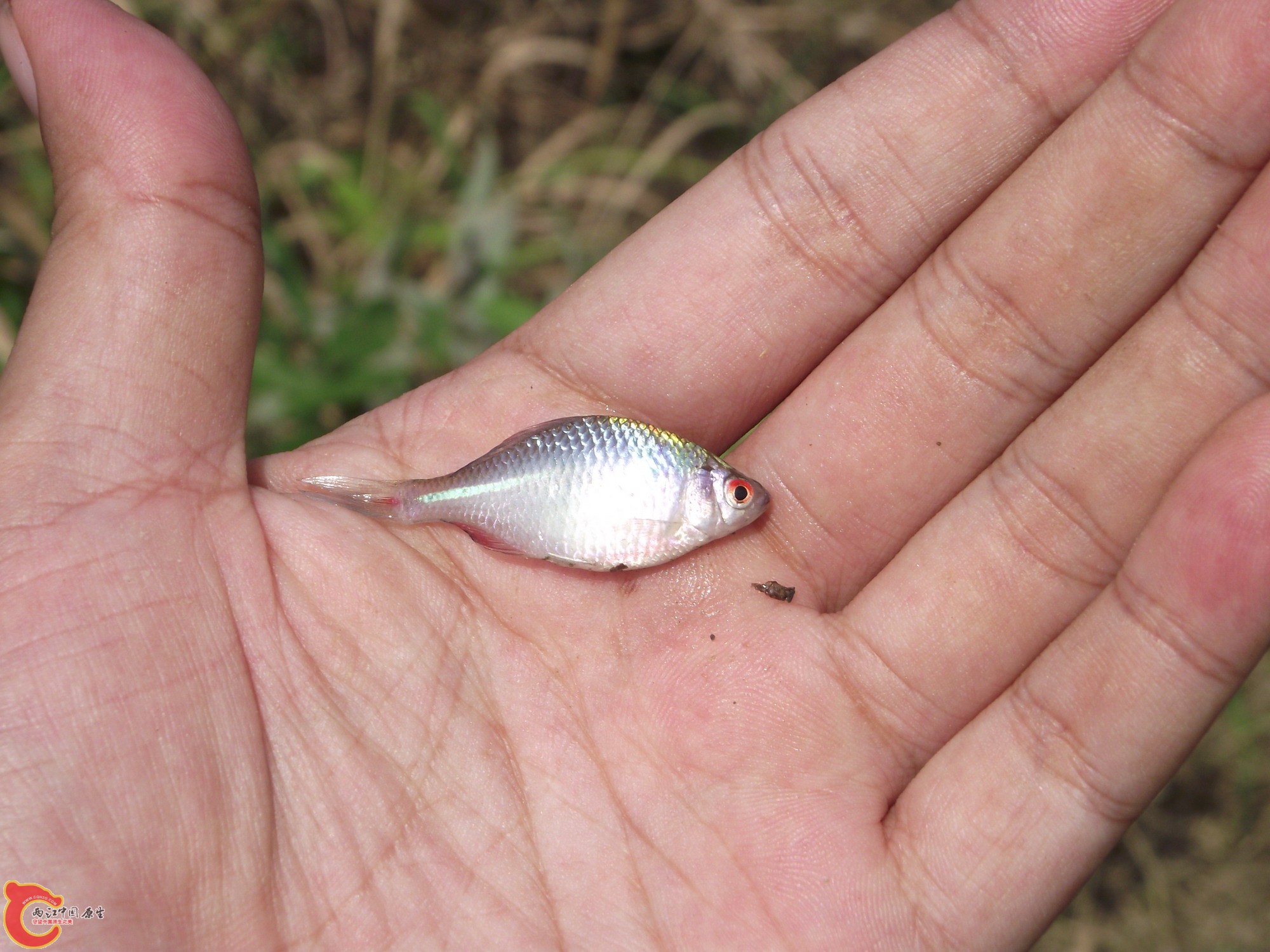 DSCF0394_缩小大小.JPG