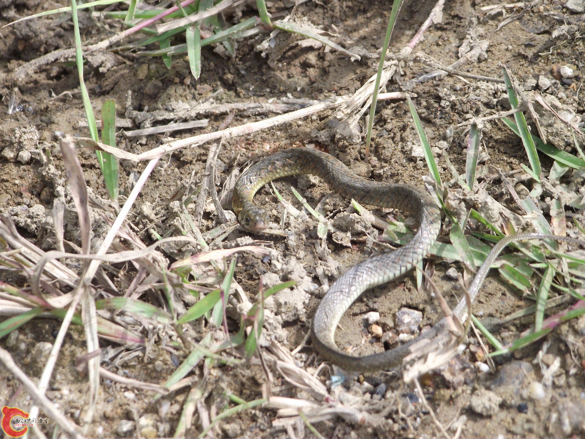 DSCF0397_缩小大小.JPG