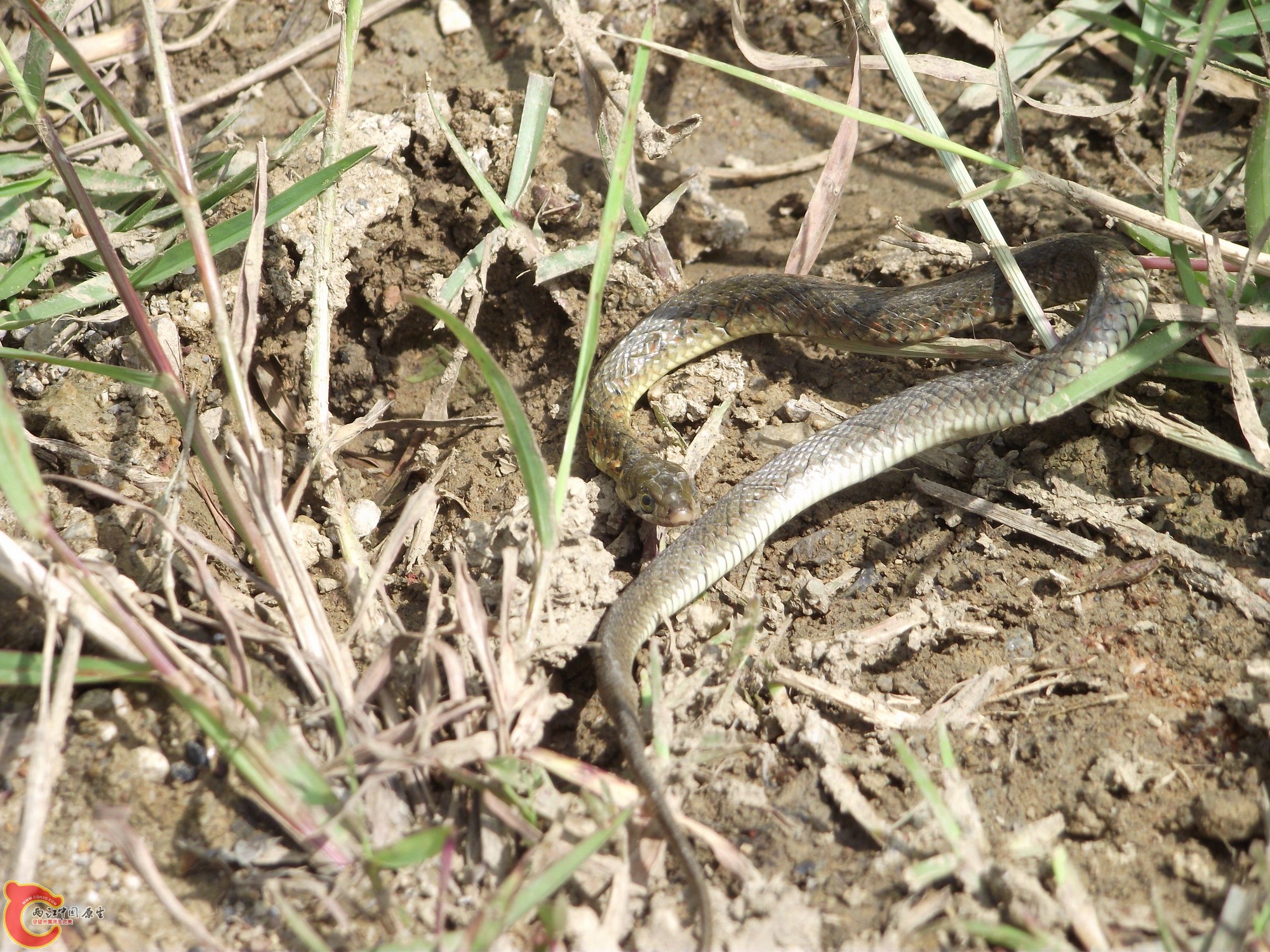 DSCF0402_缩小大小.JPG
