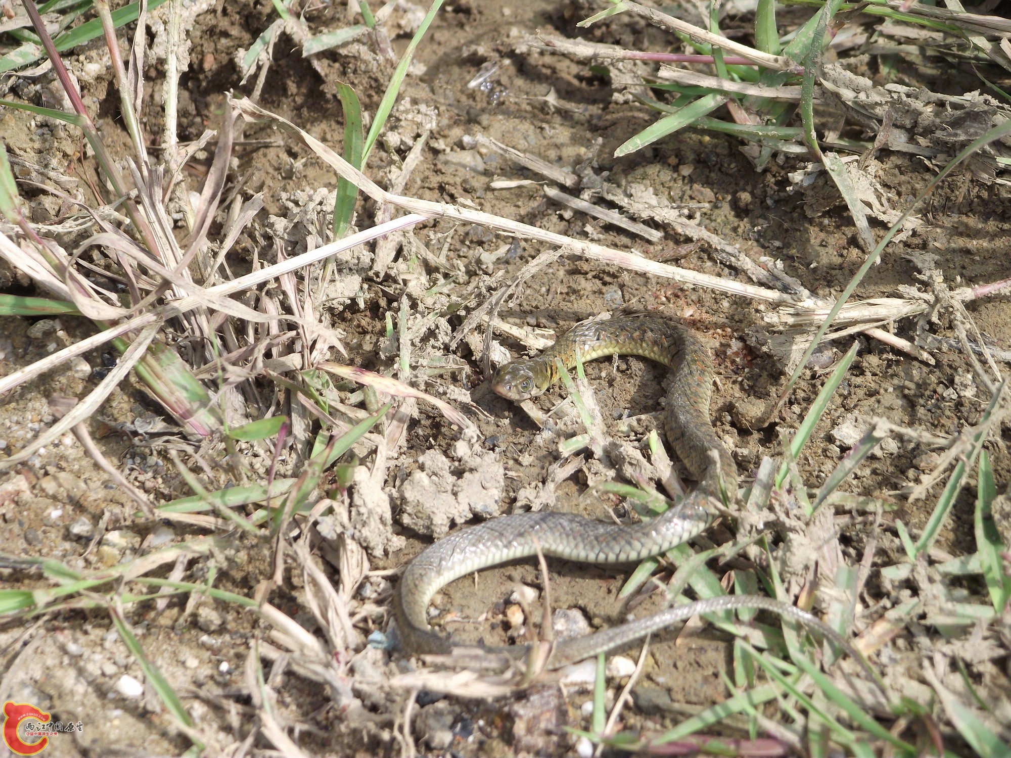 DSCF0399_缩小大小.JPG