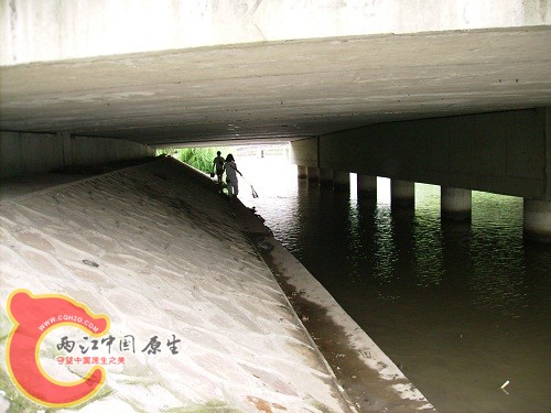 大桥下